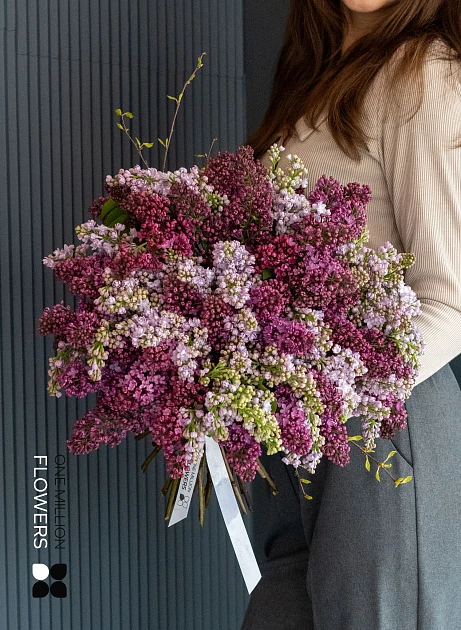 Букет сирени "Перпл Лайли" mega grand